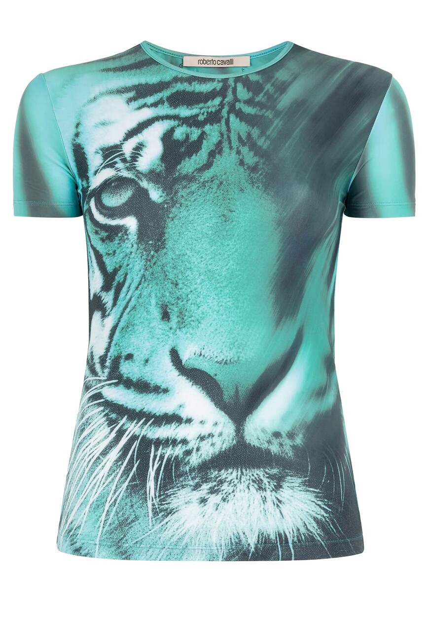 Футболка Roberto Cavalli, Синий
Футболка Roberto Cavalli, Синий