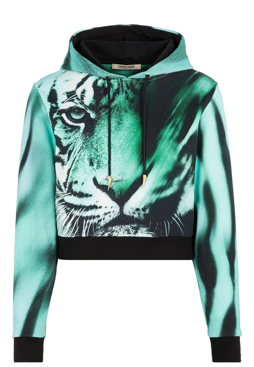 

Свитшот Roberto Cavalli, Синий