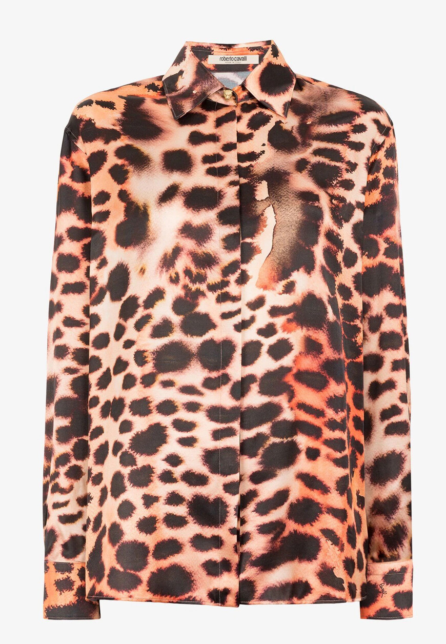 

Блуза Roberto Cavalli, Коричневый