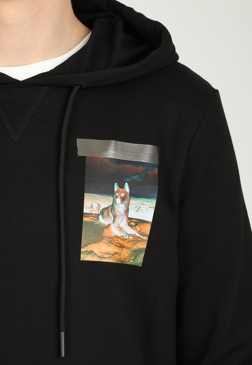 толстовка  BMF0026 по распродаже