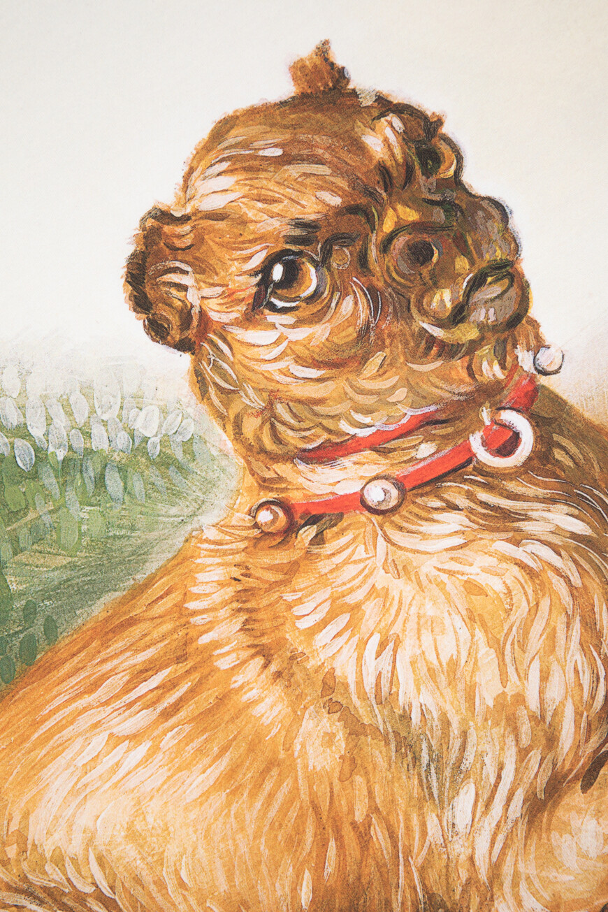 

Футболка Loewe, Другой