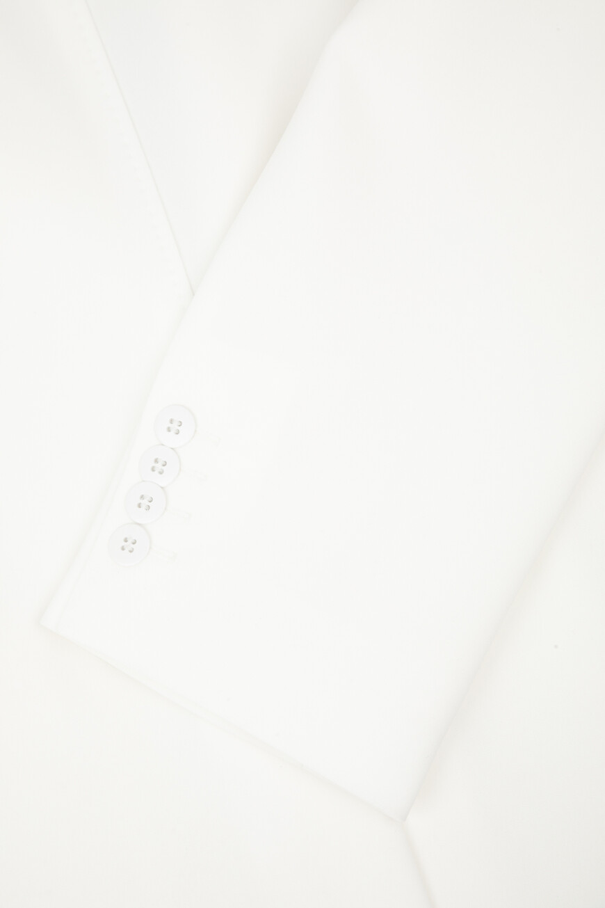 блейзер  FURETTO 2516041031 009 оригинал