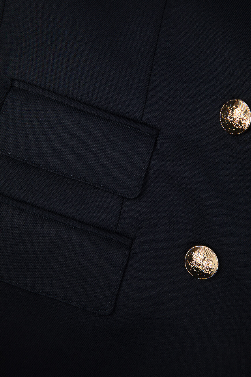 блейзер  SAEC WRF0698 PTE076N 24 оригинал