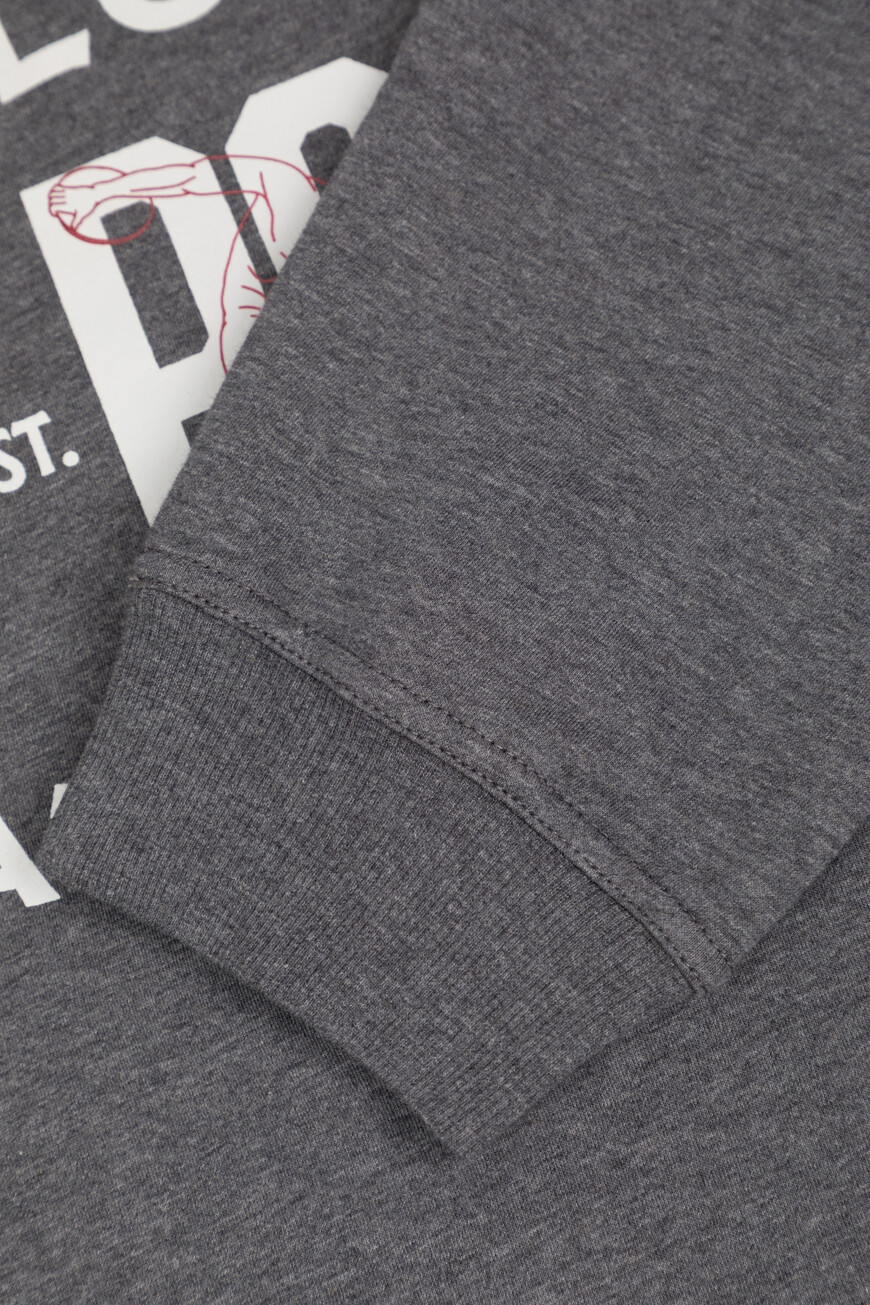 свитшот  модель из линейки travelwear MW8633380G C080 на официальном сайте