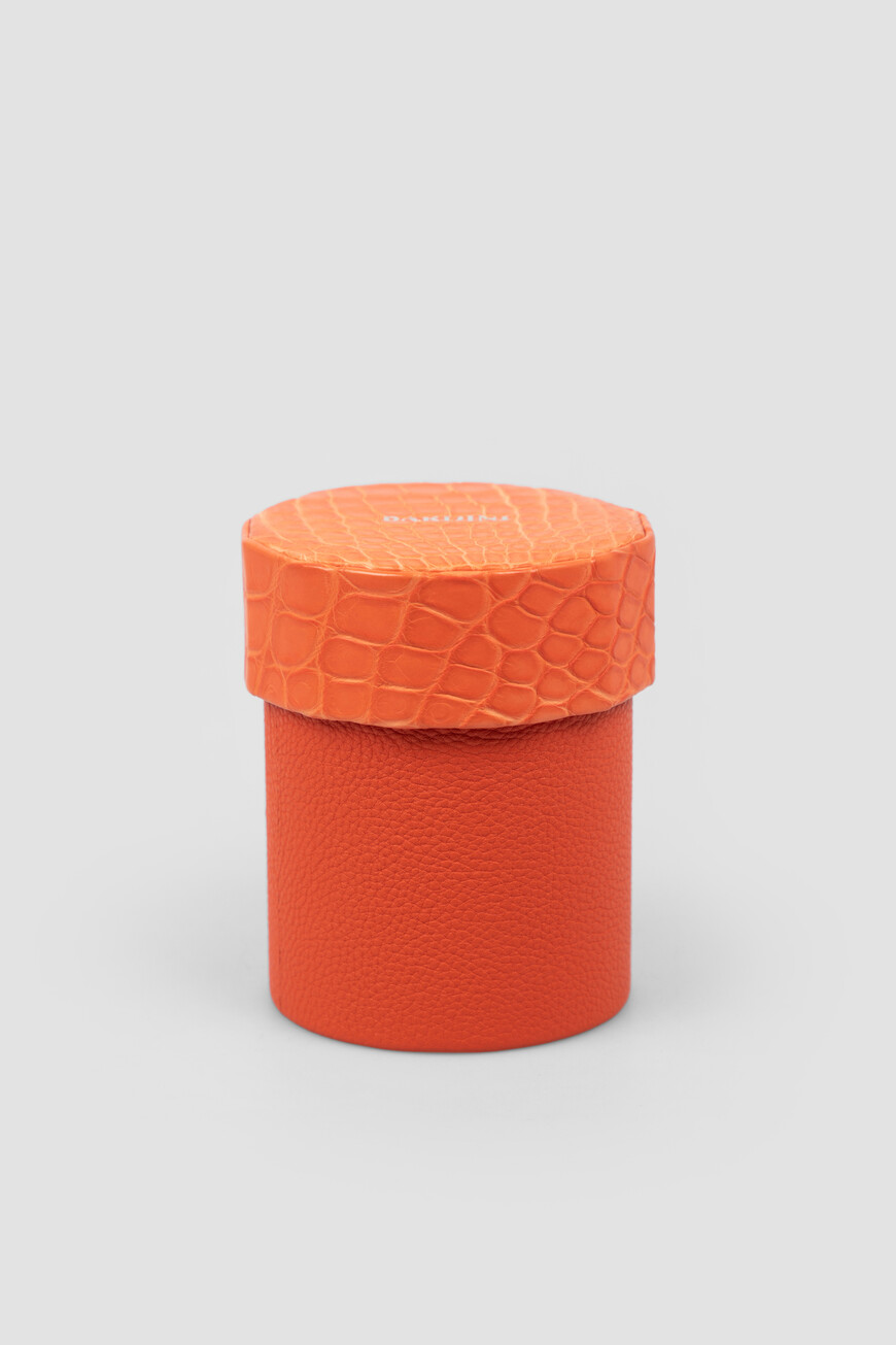 

Футляр Bardini, Оранжевый