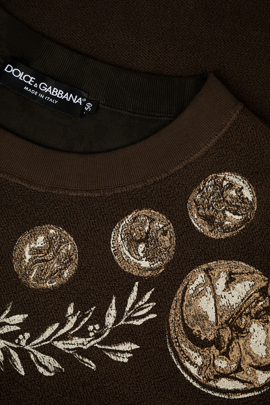 

Толстовка Dolce & Gabbana Модель Из Коллекции Roma, Коричневый