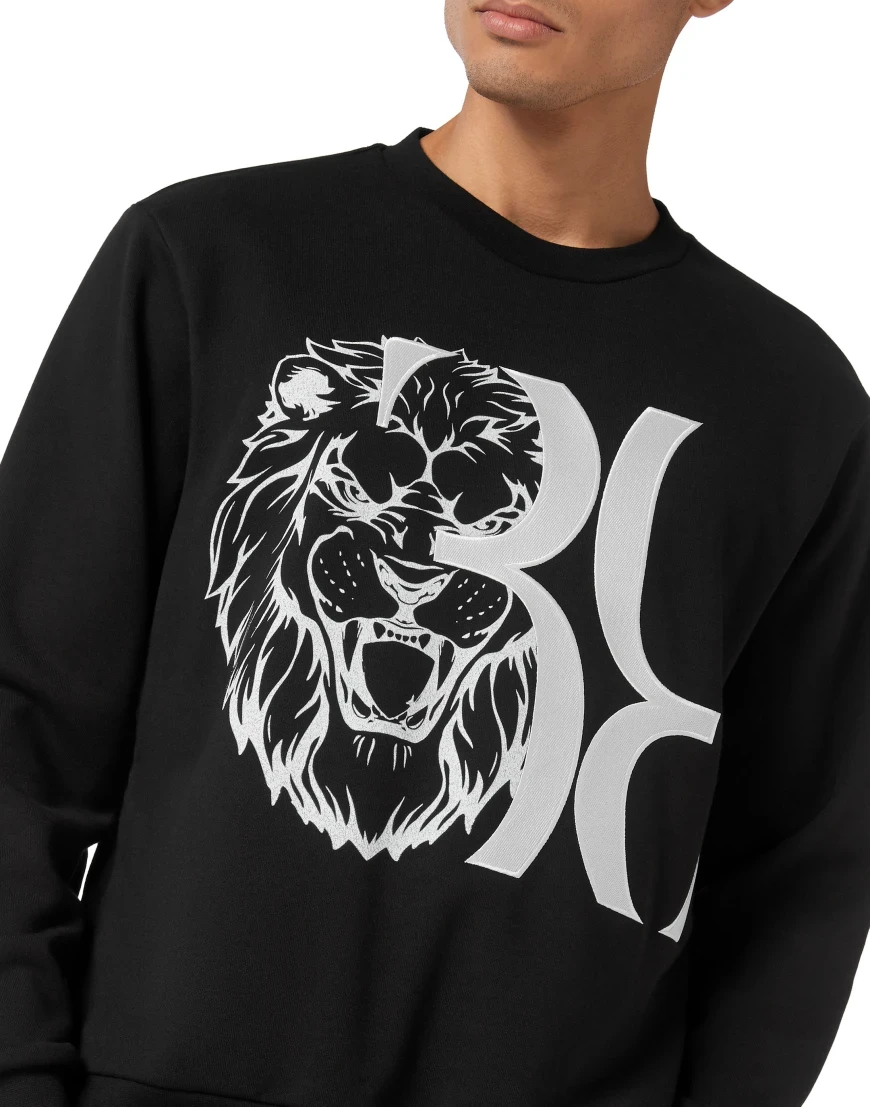 толстовка  OACC-MJO1117-BTE013N_02 купить с доставкой