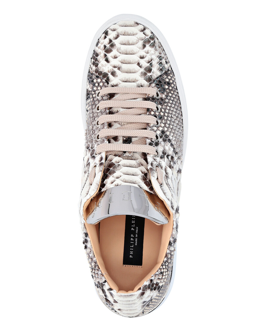 

Ботинки Philipp Plein, Другой