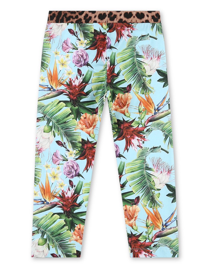 леггинсы  PABC-GJT0420-PJY002N_21 по акции