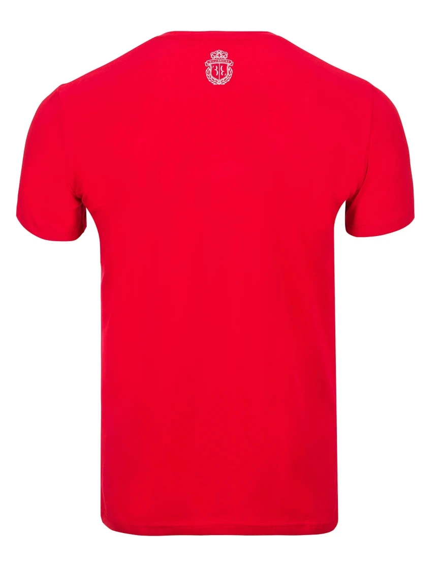 футболка  I18C-MTK1980-BTE014N_13 по акции