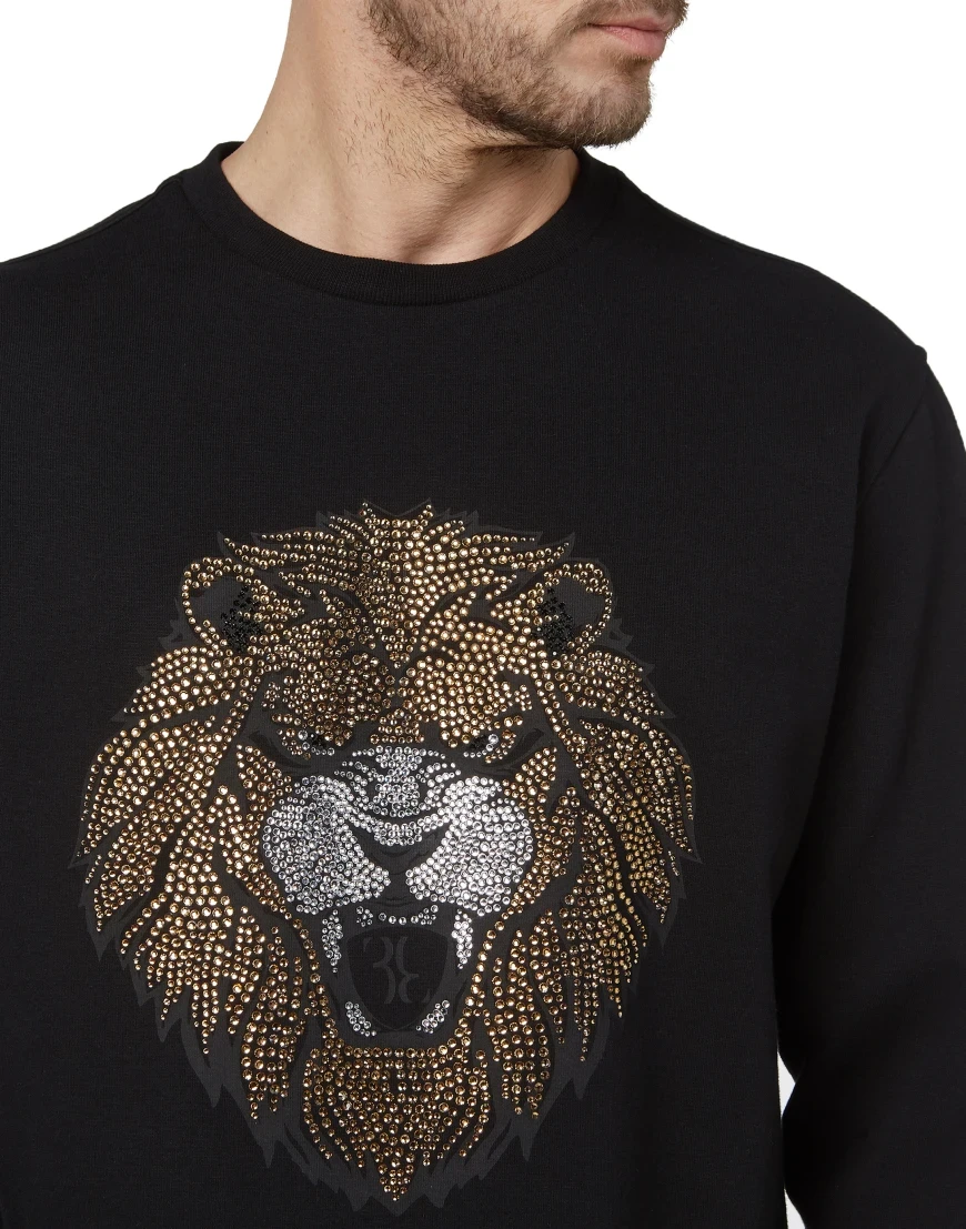 толстовка  W19C-MJO0572-BTE011N_02 купить с доставкой