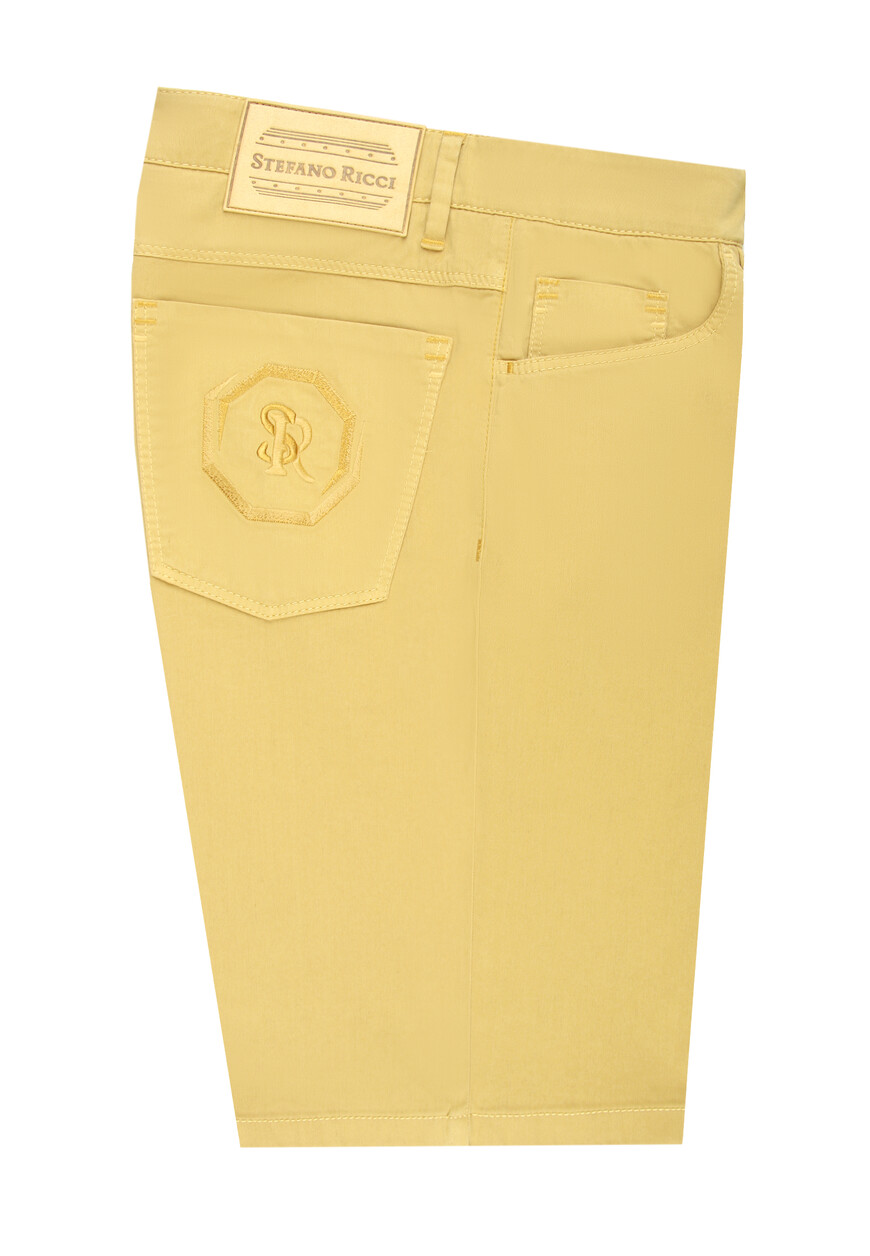 Шорты Stefano Ricci 71330₽