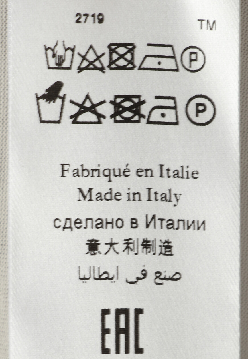 футболка  MBZ-NT580-LEON1/MC0 купить с доставкой