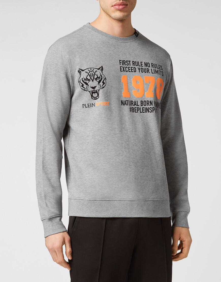 

Толстовка Plein Sport, Серый