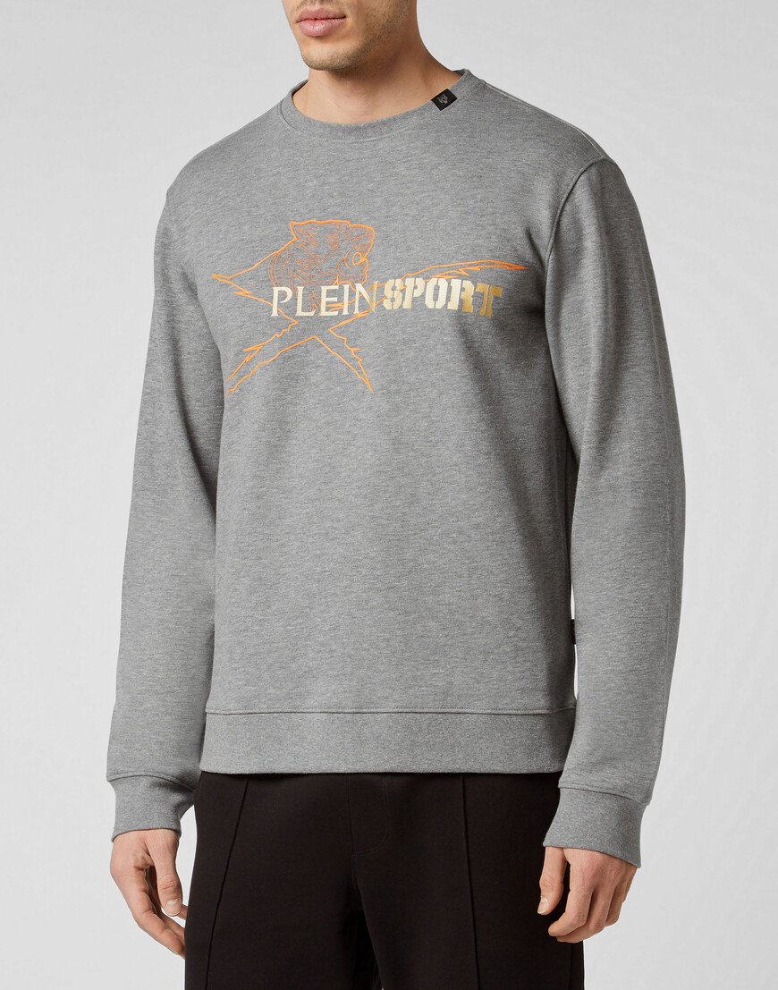 

Толстовка Plein Sport, Серый