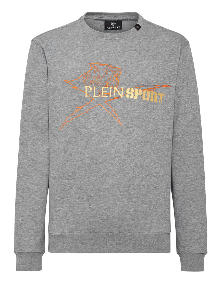

Толстовка Plein Sport, Серый
