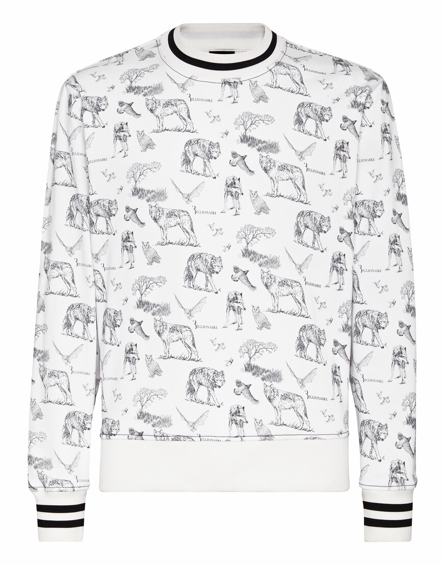 толстовка  OAAC-MJO0808-BTE011N_01 по акции