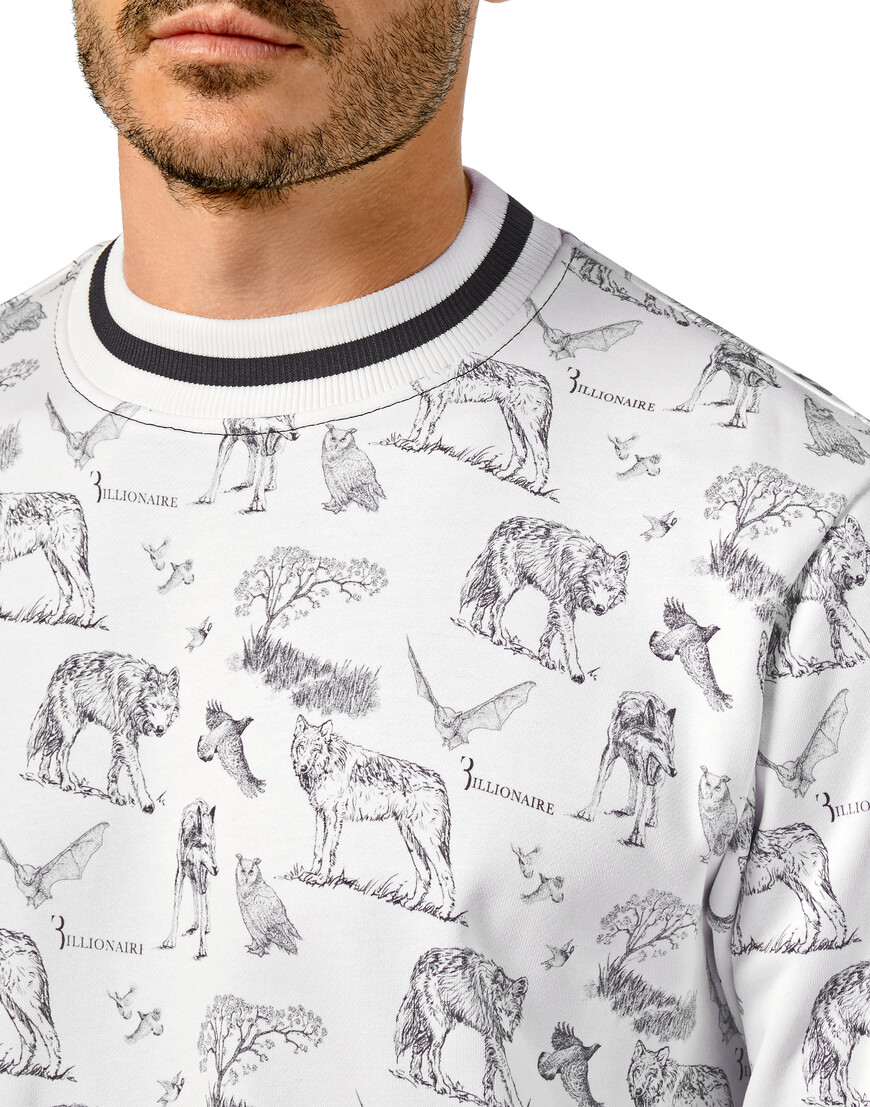 толстовка  OAAC-MJO0808-BTE011N_01 по низкой цене