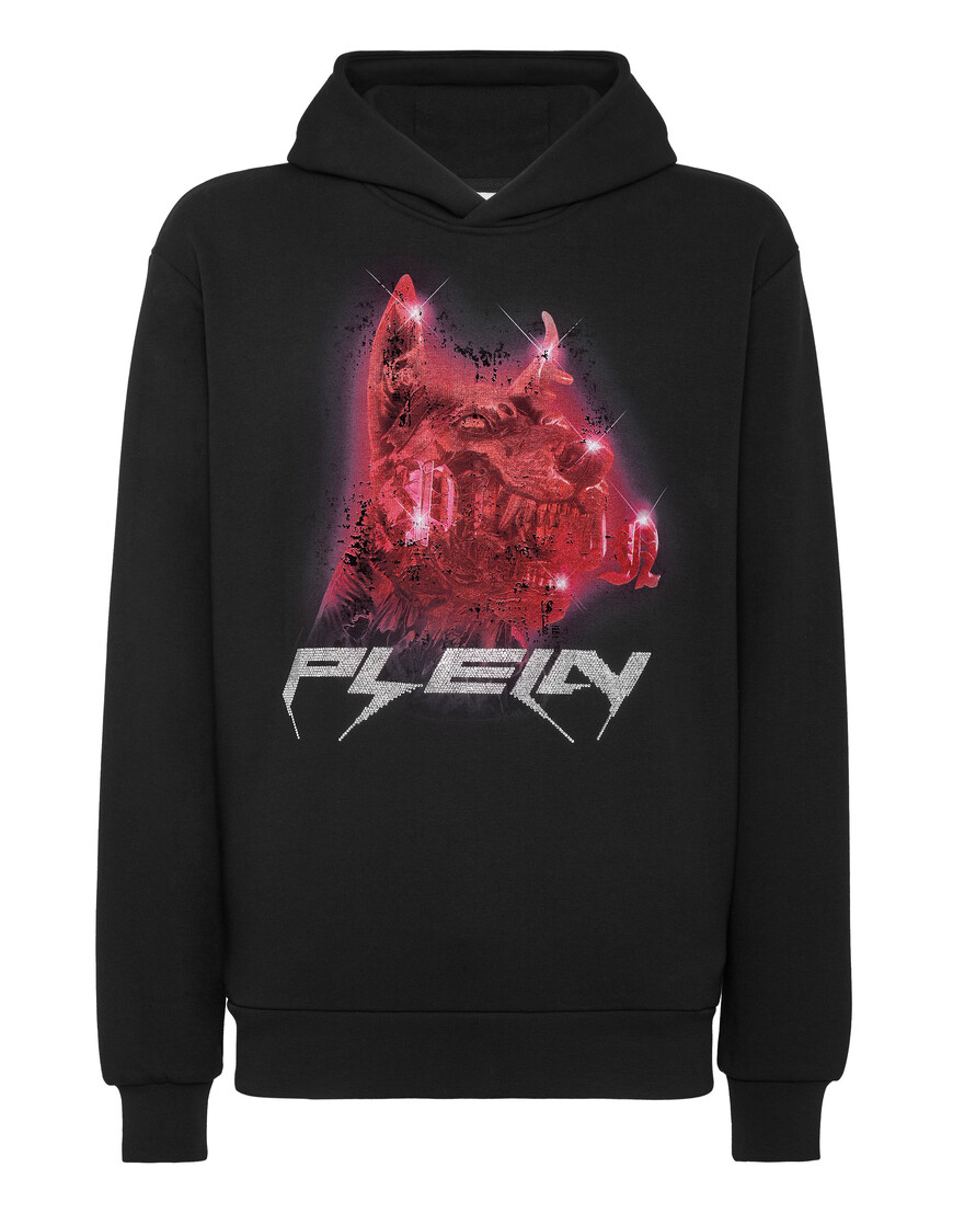 худи  AACC-MJB3139-PJO002N_02 по акции