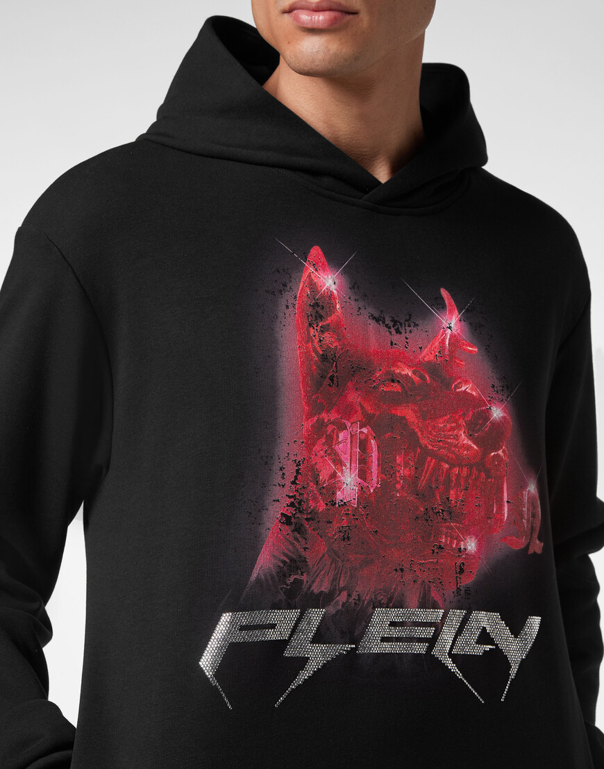 худи  AACC-MJB3139-PJO002N_02 со скидкой