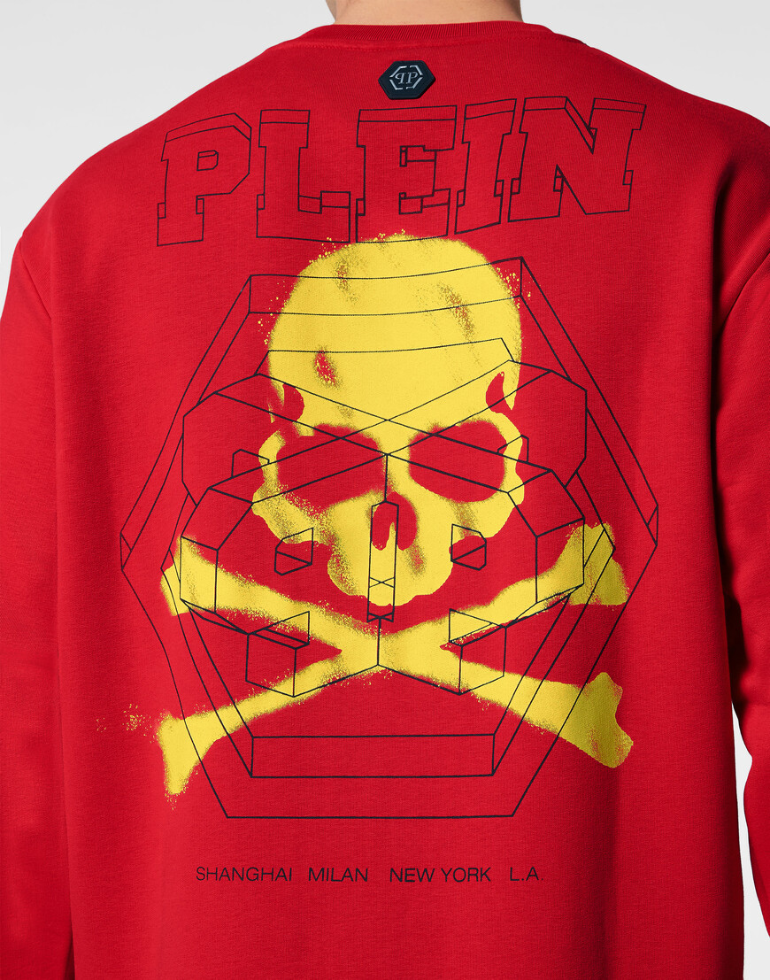 толстовка  PADC-MJO1175-PJO002N_13 по распродаже